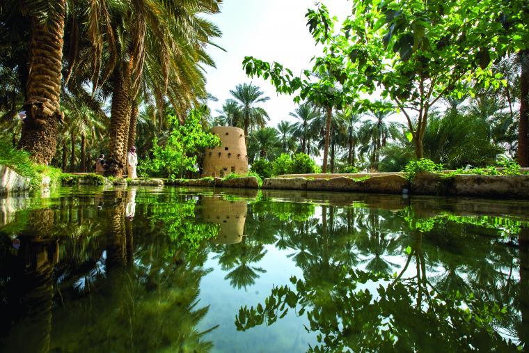 https://manage.athaararabia.com/blog/Explo-qassim - garden.jpg